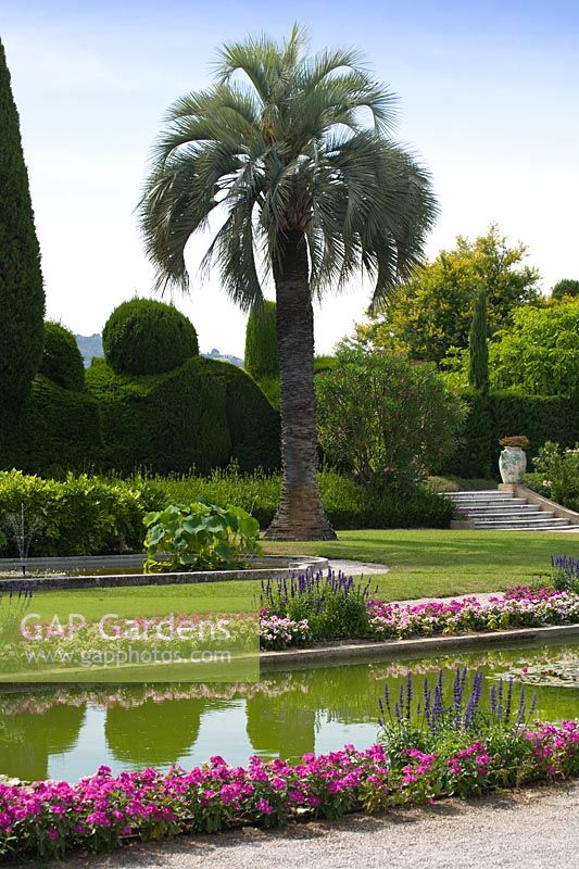 Plamier et plan d'eau à la Villa Ephrussi de Rothschild, Cap Ferrat, France