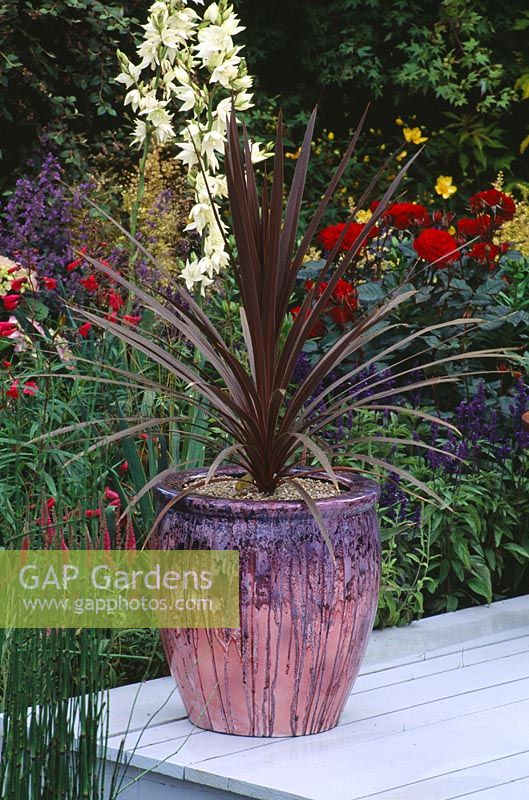Pot en fibre de verre avec Cordyline par Christian Day Ltd - The Citroen Garden, Hampton Court 1996