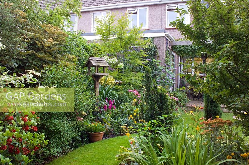 Petit jardin de ville avec une bonne structure, des arbres et des arbustes intéressants - Nailsea, Somerset, UK