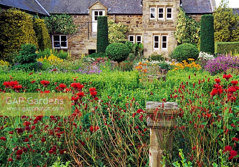 Parterre de fleurs rouges dans le jardin de fleurs, y compris Monarda didyma, Knautia macedonica, Sangiusorba officinalis et alliums - Herterton House, nr Cambo, Morpeth, Northumberland