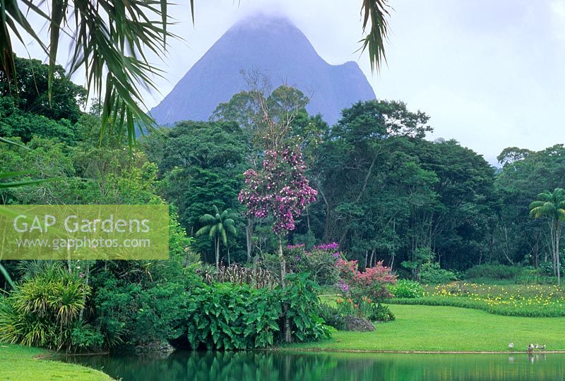Jardin tropical - Fazenda Marambaia, Petropolis, Brésil