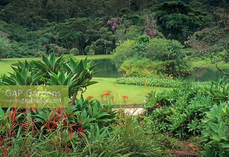 Jardin tropical - Fazenda Marambaia, Petropolis, Brésil