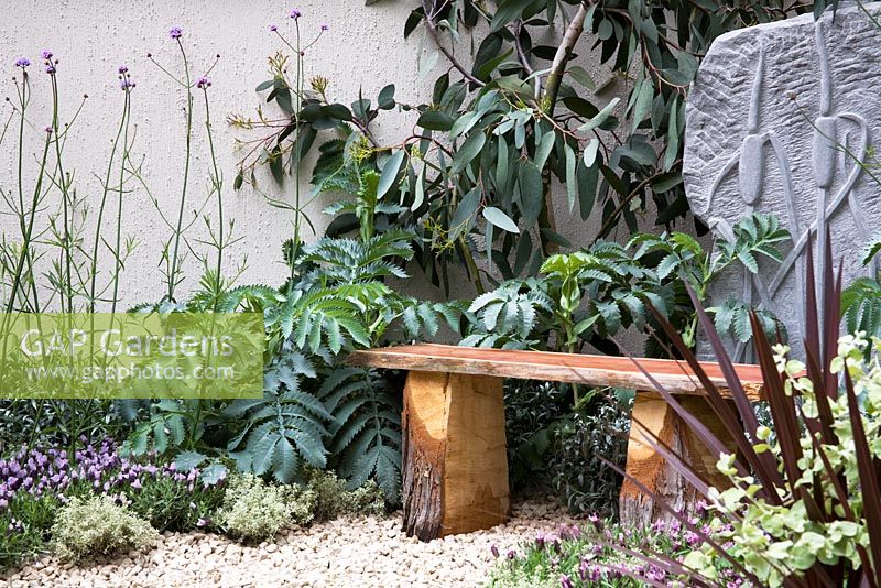 Verbena bonariensis dans The Way Forward Garden, Design - Zoe Cain, avec Jim Buttress VMH et Jocelyn Armitage, Sponsor - St Joseph's Hospice and Perennial at Chelsea Flower Show 2008