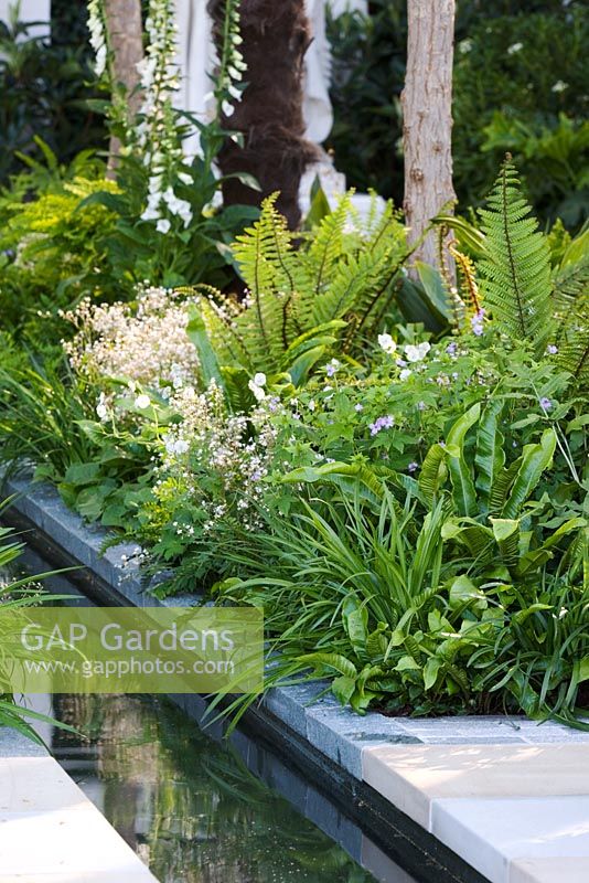 Un jardin Cadogan avec une combinaison de plantes et un ruisseau d'eau, commanditaire - Cadogan Estates Ltd. Design - Robert Myers. RHS Chelsea Flower Show 2008. Gagnant de la médaille d'or