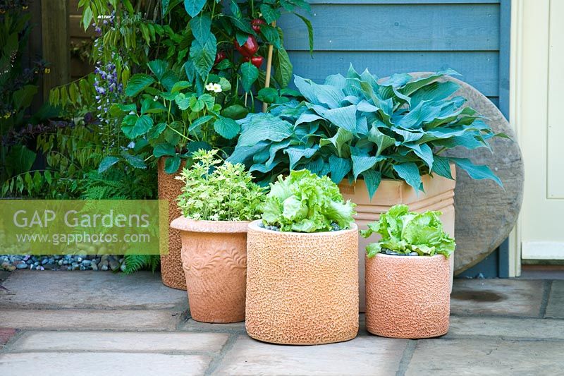 Groupes de pots dans le jardin - Real Life by Brett, Design - Geoffrey Whiten, Sponsor - Brett Landscaping and Building Products
