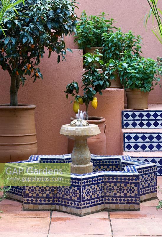 Cour méditerranéenne de style marocain avec fontaine carrelée dans le jardin - SPANA's Courtyard Refuge, Design - Chris O ' Donoghue, sponsor - Société pour la protection des animaux à l'étranger, RHS Chelsea Flower Show 2008