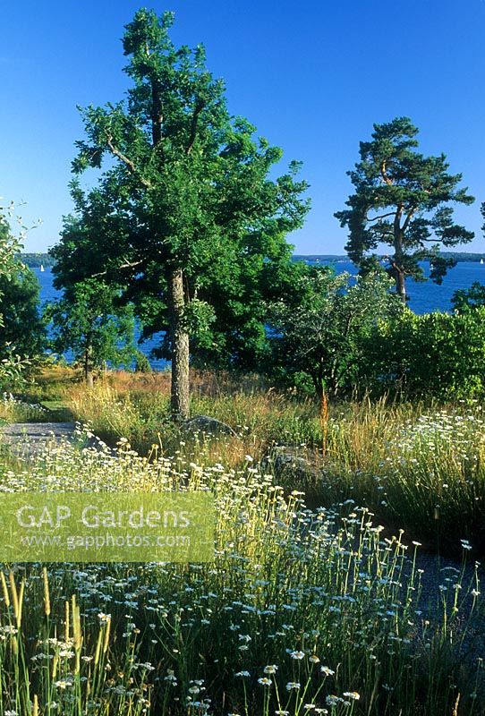 Plantation de style prairie naturelle avec chemin en herbe - Villa Eketop. Suède