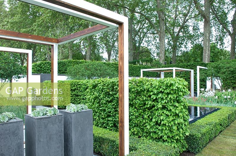 Jardin moderne conçu par Philip Nixon pour Savills - RHS Chelsea Flower Show 2008