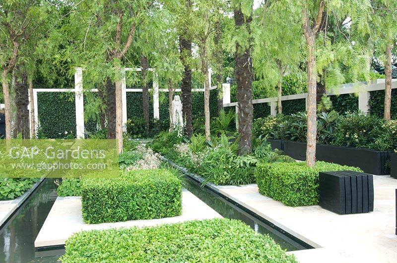 Plan d'eau et plantation d'arbres mixtes conçus par Robert Myers - Le jardin Cadogan, RHS Chelsea Flower Show 2008