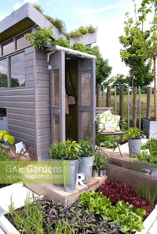 Remise avec toit en thym et panneaux solaires - Le jardin de trois r ' s, jardiniers 'World Live 2008