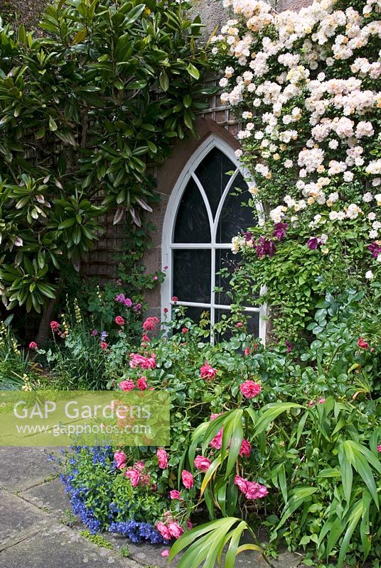 Roses, clématites, rhododendrons et plantes herbacées entourant une fenêtre cintrée sur la terrasse du château de Cholmondeley, Cheshire