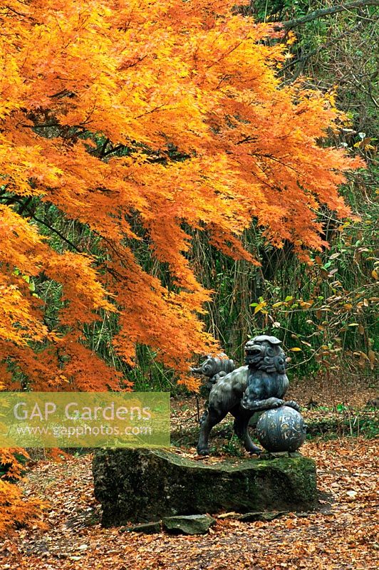 Chien foo en bronze sur un globe en émail cloisonné entouré d'un Acer palmatum dans des tons automnaux - Batsford Arboretum, Gloucestershire