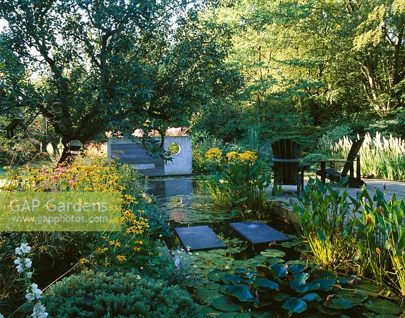 Lumière du matin sur l'étang aux nénuphars avec terrasse en bois, chaises adirondacks, tremplins, sculpture en béton et Rudbeckia deamii - Greystone Cottage, Oxfordshire