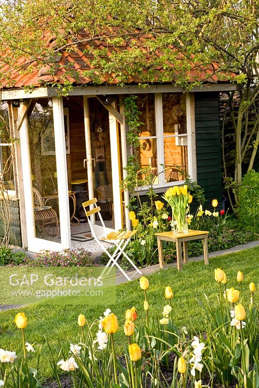 Coin salon devant pavillon d'été avec parterre de fleurs avec Tulipa 'Juliette' et Narcisse 'Yellow Cheerfulness'