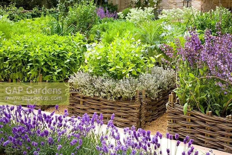 Herbes mixtes poussant dans des paniers - Jardin 'Summer Solstice', sponsor - Daylesford Organics - RHS Chelsea Flower Show 2008