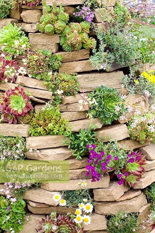 Jardin de rocaille fait de tas de pierres avec plantes succulentes et alpines