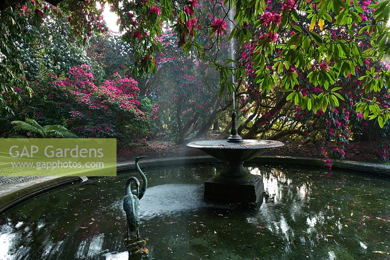 fontaine et piscine avec sculptures d'oiseaux, entourée de rhododendrons - Holker Hall, Cumbria