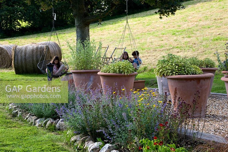 Zone de gravier avec des herbes dans de grands pots en terre cuite et un parterre de fleurs vivaces dans le jardin du Devon. En arrière-plan, les enfants se détendent sur des balançoires.