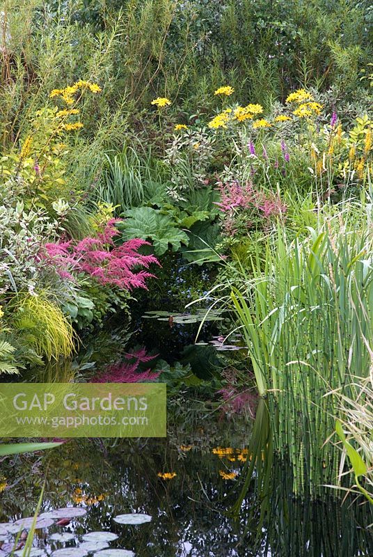 Étang avec Gunnera manicata, Astilbe et plantes marginales et humides - Le monde du jardin d'eau - Hampton Court Flower Show 2008