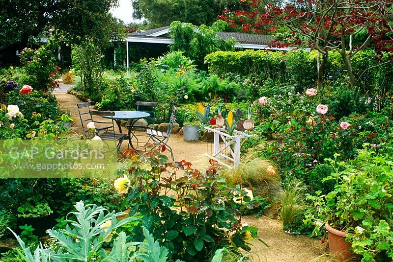 Chemin à travers les parterres de Rosa, légumes et herbes avec table et chaises de style café - Le jardin Krause, Santa Barbara, USA