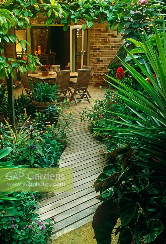 Petit jardin de ville avec plantation verte tropicale. Patio couvert avec Loquat sur cadre en bois. Table et chaises. Portes doubles pour loger - Nouvelle-Galles du Sud, Australie
