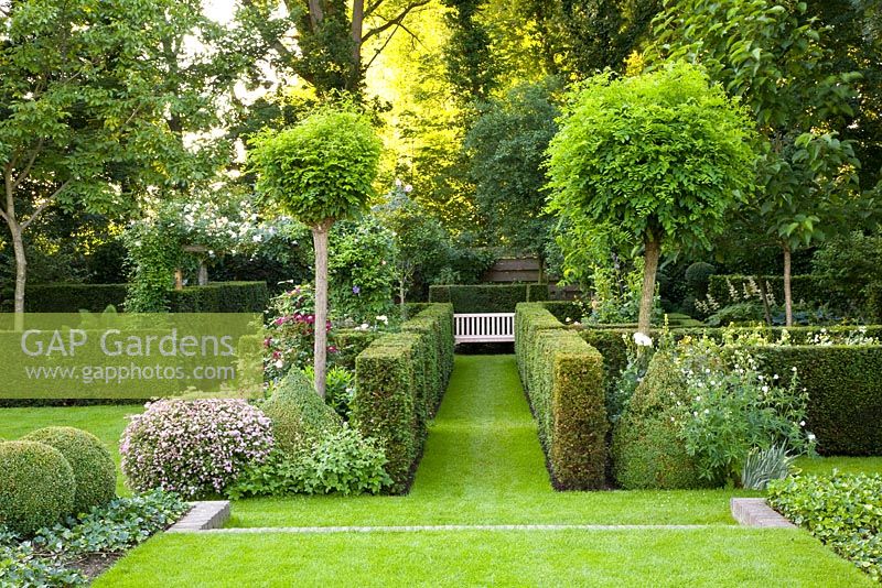 Jardin à la française avec haie de Buxus et arbres formés menant à un banc en bois