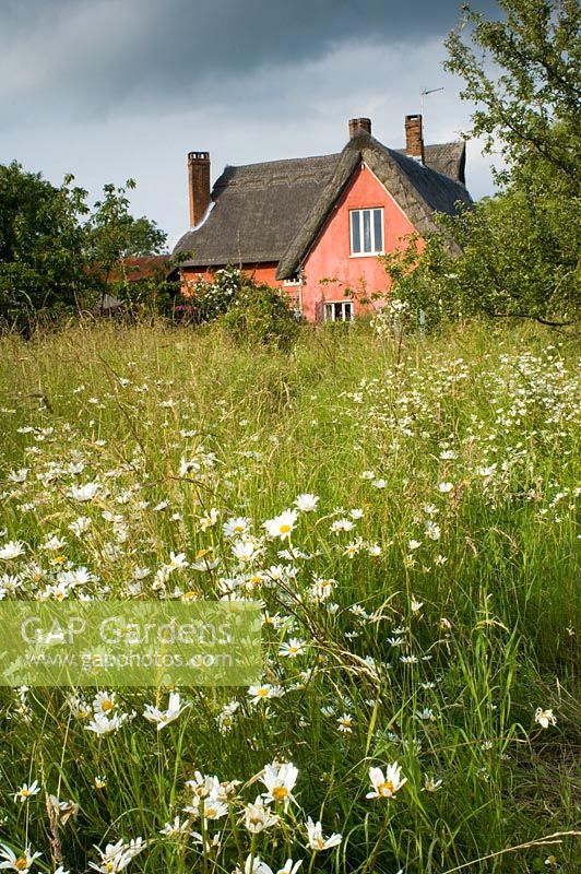 Chaumière rose avec jardin de fleurs sauvages - Smallwood Farmhouse, Suffolk
