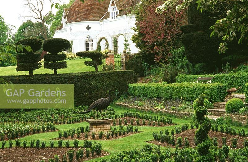 Le jardin de paon avec des haies de buis nouvellement plantées, la floraison de Cercis siliquastrum et la sculpture centrale fabriquée au Zimbabwe à partir de vieilles carrosseries de voitures - Houghton Lodge Gardens, Stockbridge, Hants