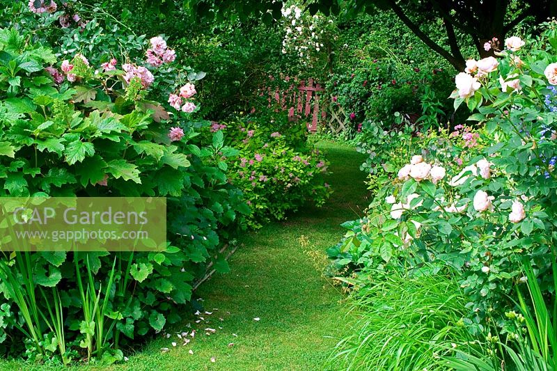 Parterres de fleurs mixtes avec roses - Les Jardins d ' Angélique, France