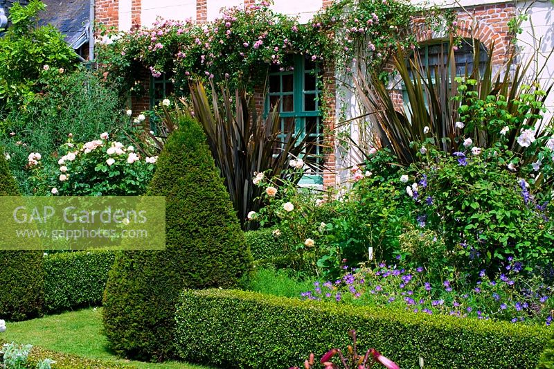 Parterre de fleurs mélangé avec topiaire - Les Jardins d ' Angélique, France
