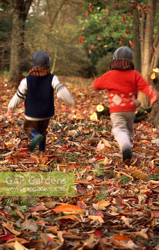 Enfants qui courent parmi les feuilles qui tombent