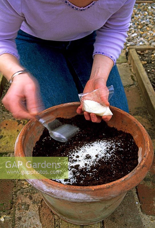 Ajout de granules retenant l'eau au compost en pot avant la plantation
