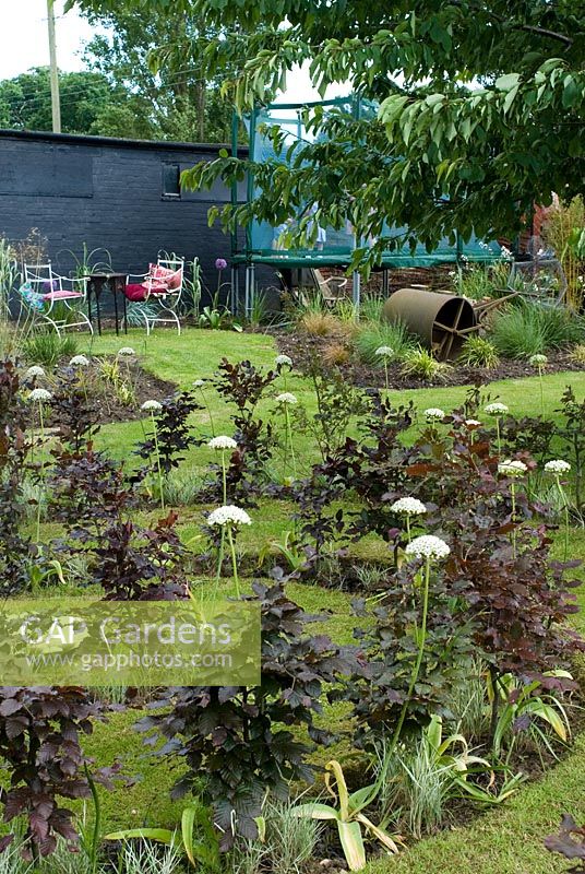 Fagus sylvatica - spirale de hêtre cuivré et Allium multibulbosum, trampoline pour enfants avec filet de sécurité et vieux rouleau de jardin en arrière-plan - École de conception de jardins de Lucy Redman