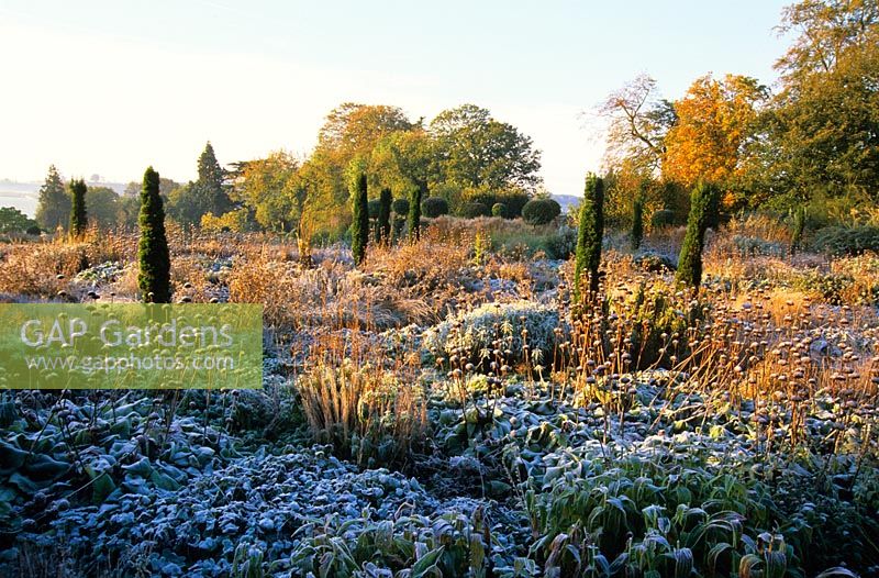 Givre sur les plantes vivaces et les graminées à Broughton Grange, Oxfordshire