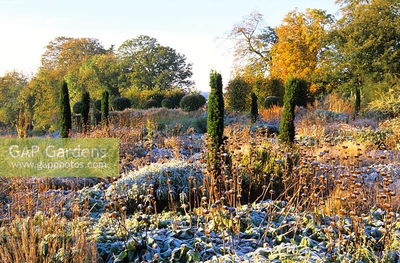 Givre sur les plantes vivaces et les graminées à Broughton Grange, Oxfordshire
