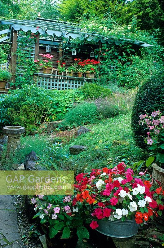 Jardin en août avec maison d'été peinte en bleu et Nicotiana et Impatiens en pots - Barleywood, Hampshire