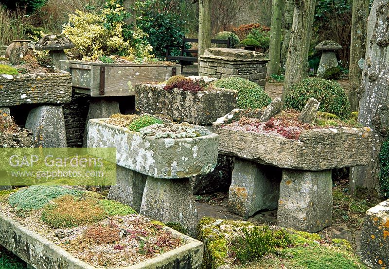 Le jardin troublé - Rodmarton Manor, Gloucestershire