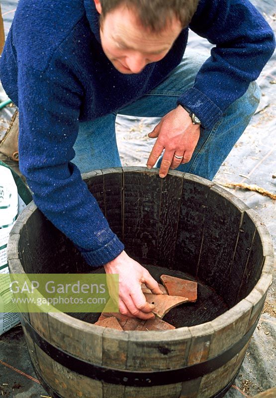 Homme mettant des éclats de terre cuite cassés au fond du tonneau en bois pour faciliter le drainage, avant de le planter