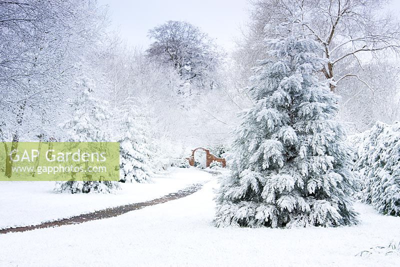Arbres couverts de neige et chemin à Honeybrook House Cottage, Worcestershire en avril