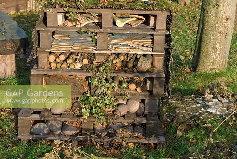 Palettes en bois empilées remplies de pierres, de bûches et de briques pour fournir des coins et recoins sombres dans lesquels les insectes tels que les coccinelles, les chrysopes et les abeilles peuvent passer l'hiver dans un jardin animalier - The Eco Garden, Trentham Gardens, Staffordshire