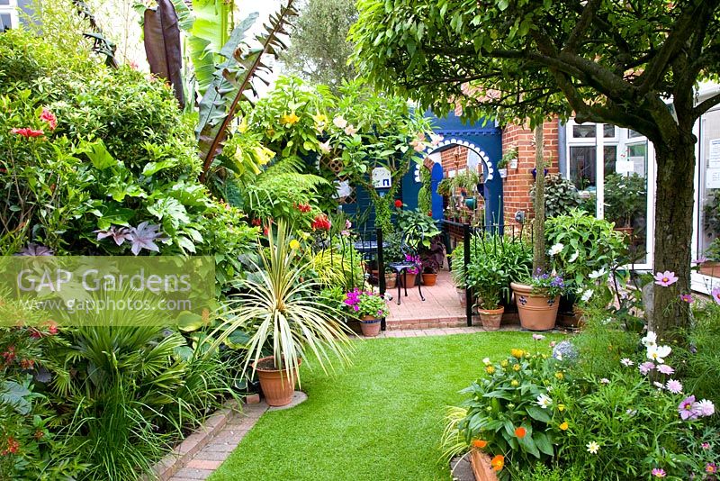 Petit jardin tropical de style marocain avec Cordyline australis en pot à côté de la pelouse