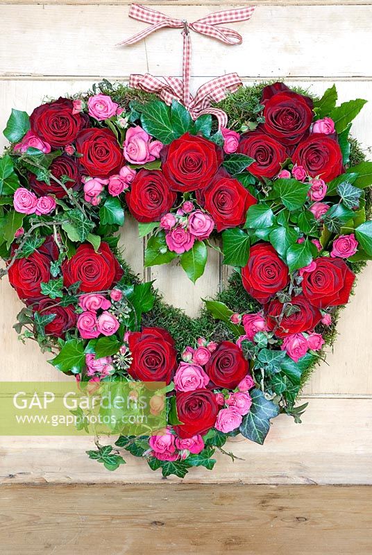 Couronne de Saint Valentin faite de roses roses et rouges avec du lierre