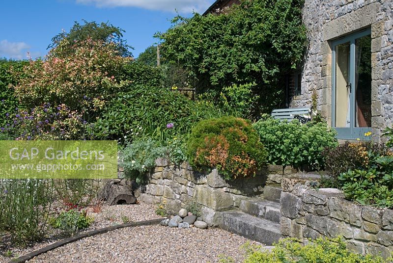 Jardin en gravier et mur en pierre planté avec des marches menant à un coin salon et à des portes-fenêtres
