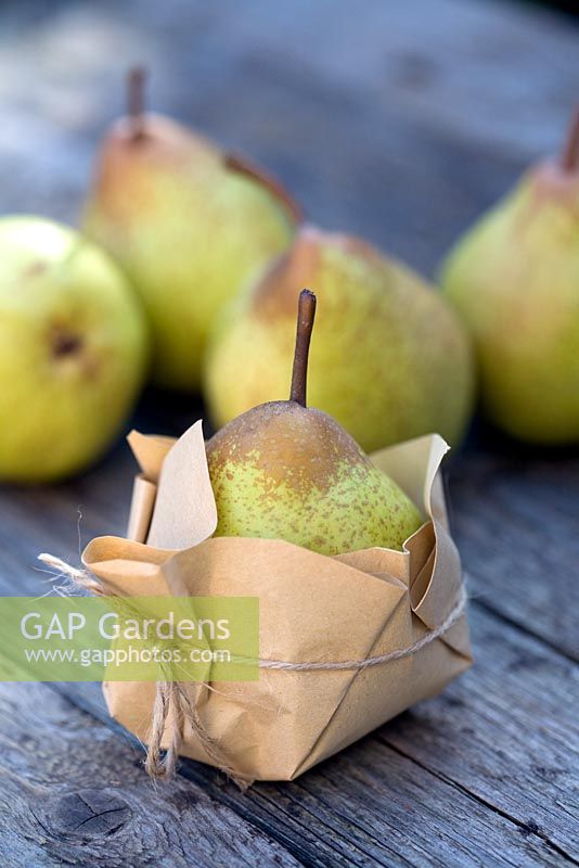 Comice Pears emballé dans du papier brun pour une protection en stockage