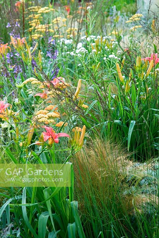 Hemerocallis, Achillea 'Terracotta' et Stipa tenuissima - The Traveller's Garden with Bradstone, RHS Hampton Court Flower Show 2008