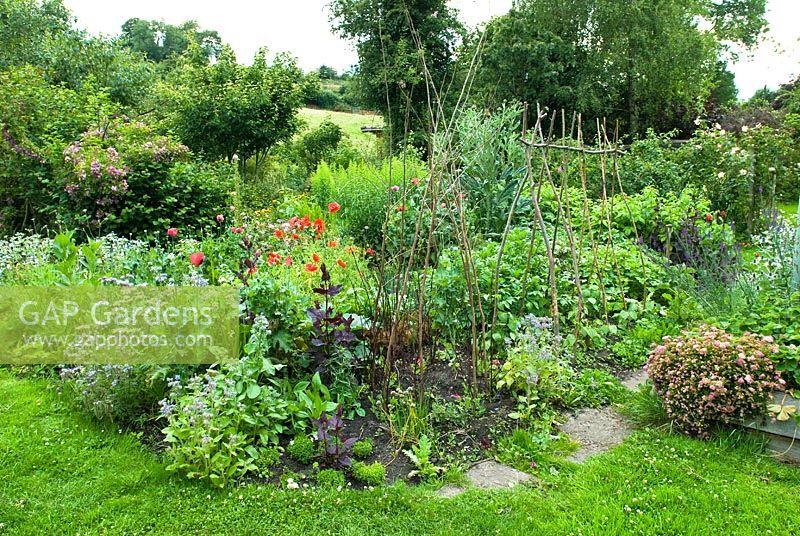 Jardin informel mixte de fleurs, de légumes et de fruits