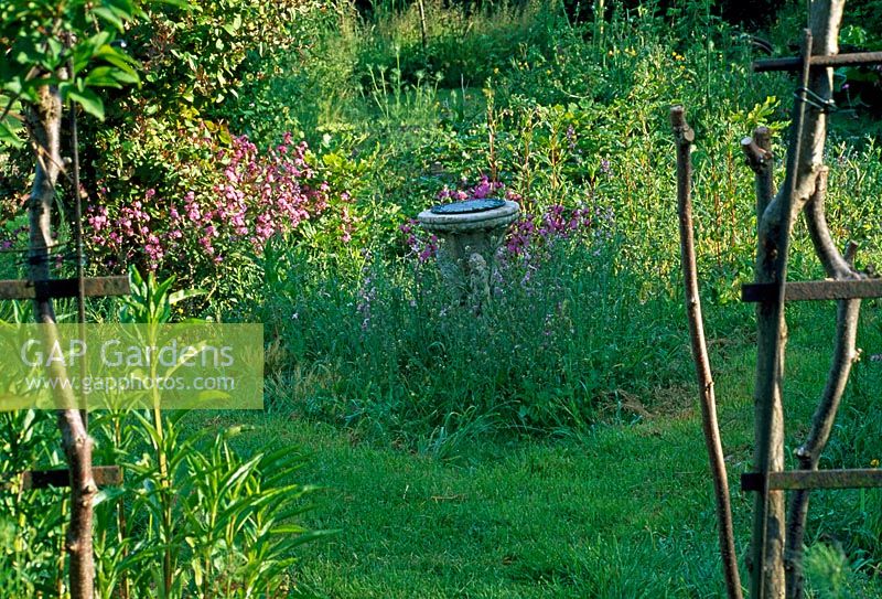 Chemin d'herbe fauchée entourant un vieux cadran solaire dans une petite parcelle de fleurs sauvages, y compris le stock parfumé de nuit