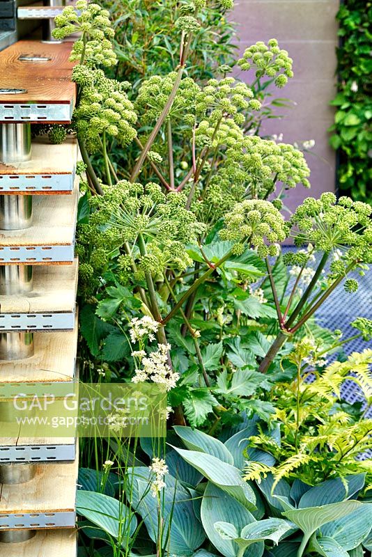 Eco Chic Garden, sponsorisé par Helios - Médaillé d'or pour le meilleur jardin urbain au RHS Chelsea Flower Show 2009