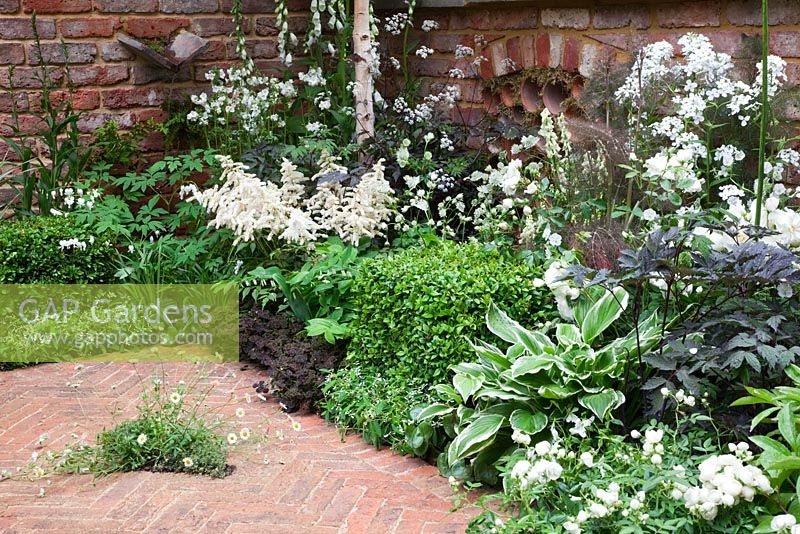 Schéma de plantation de blanc dans le Jacob's Ladder Garden, parrainé par Hewitt Landscapes Ltd - Médaillé de la Flore d'Argent pour Courtyard Garden au RHS Chelsea Flower Show 2009