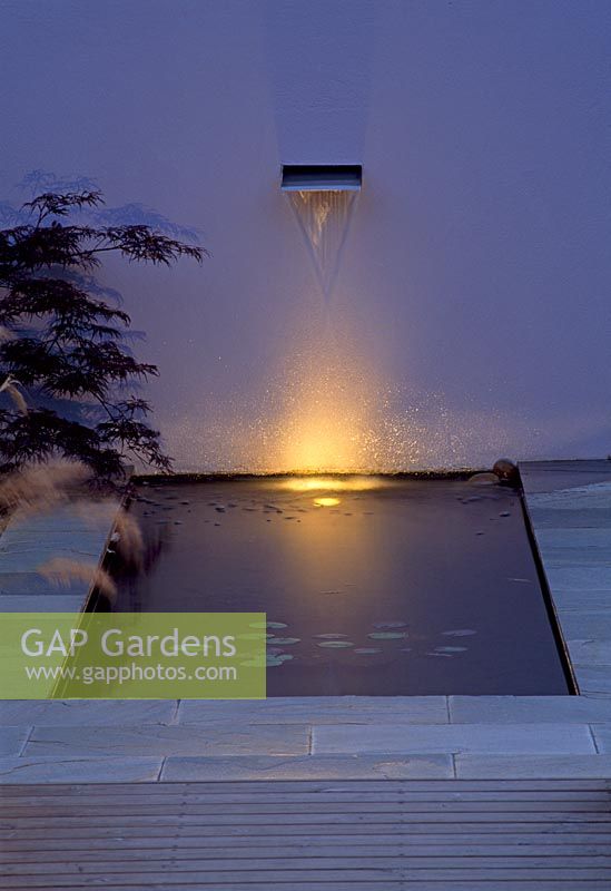 Dispositif d'eau et étang dans un jardin minimal, mur peint et éclairage de nuit avec Acer